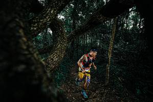 BIB: 
                            <button type="button" onclick="openModal(25678563)" class="btn btn-primary btn-sm float-right btn-popup" data-toggle="modal" data-target=".modal-high-quality">
                        <i class="fas fa-shopping-cart"></i> Add to Cart
                    </button>
                                            <button type="button" onclick="isThisMe(25678563, true)" class="btn btn-success btn-sm float-right btn-popup btn-isme hidden" data-toggle="tooltip" data-placement="bottom" title="นี่คือรูปของคุณใช่ไหม คลิกที่นี่เพื่อเอาเข้าอัลบั้ม">
                        <i class="fas fa-plus"></i> Add to album
                    </button>
                    <button type="button" onclick="isThisMe(25678563, false)" class="btn btn-warning btn-sm float-right btn-popup btn-isnotme hidden">
                        <i class="fas fa-ban"></i> Remove from album
                    </button>